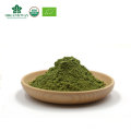 Bulk Sales Organic Spinach  Powder